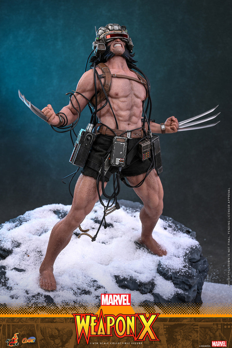 Preventa Figura LOGAN - Weapon X - Marvel Comics marca Hot Toys CMS034 escala 1/6