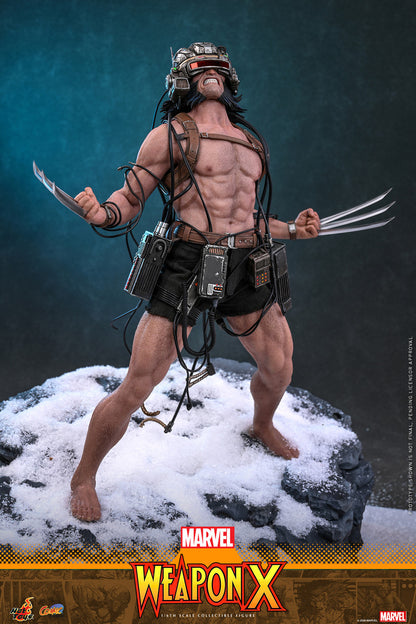 Preventa Figura LOGAN - Weapon X - Marvel Comics marca Hot Toys CMS034 escala 1/6