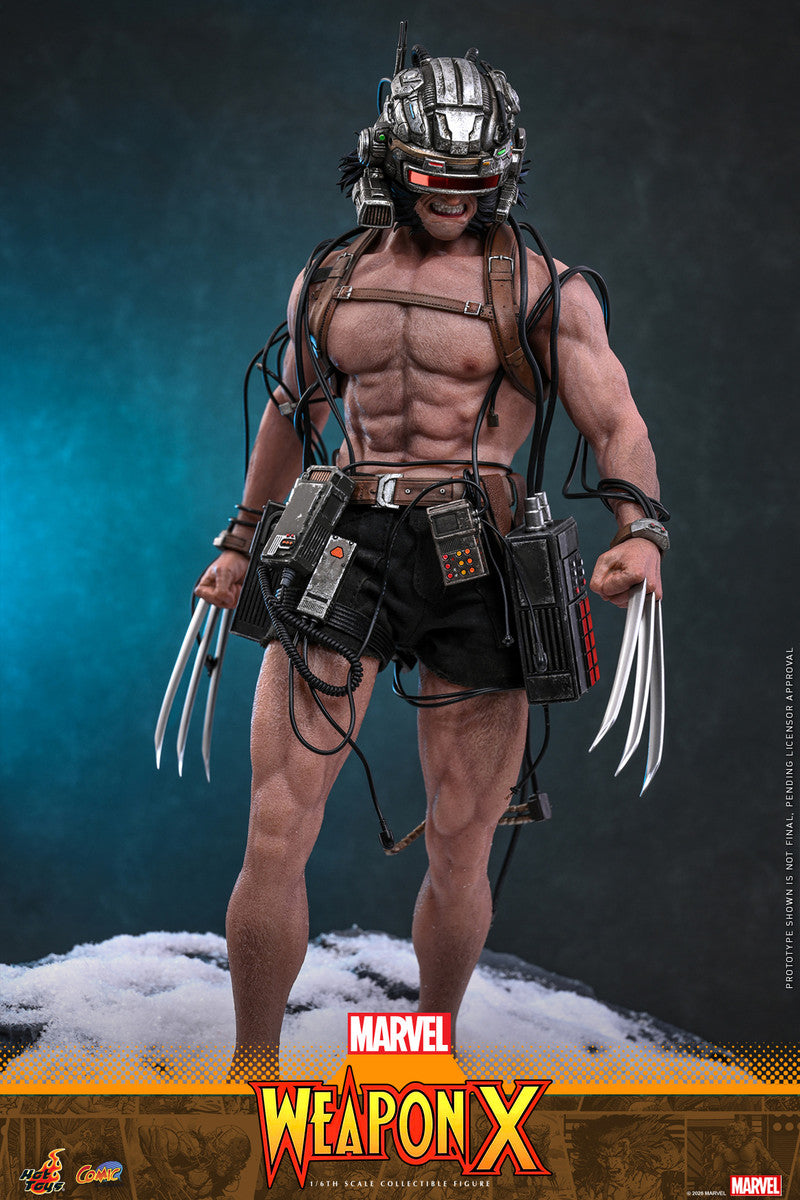 Preventa Figura LOGAN - Weapon X - Marvel Comics marca Hot Toys CMS034 escala 1/6