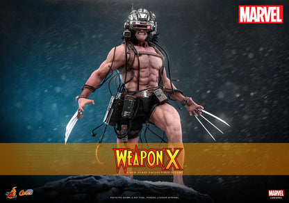 Preventa Figura LOGAN - Weapon X - Marvel Comics marca Hot Toys CMS034 escala 1/6