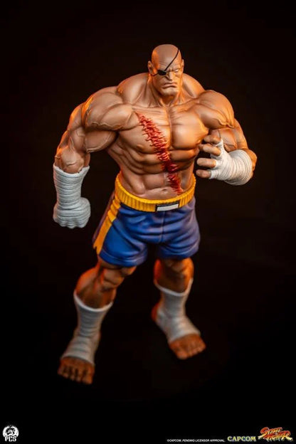 Preventa Set Estatuas Sagat y Juli - Street Jam - Street Fighter marca PCS Collectibles escala 1/10