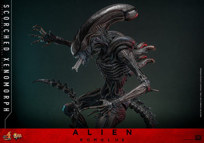 Preventa Figura Scorched Xenomorph - Alien: Romulus marca Hot Toys MMS784 escala 1/6