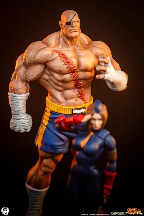 Preventa Set Estatuas Sagat y Juli - Street Jam - Street Fighter marca PCS Collectibles escala 1/10