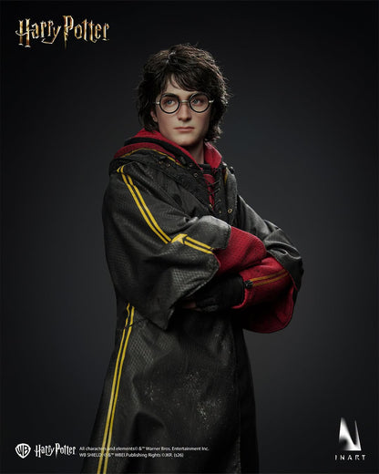 Preventa Figura HARRY POTTER - Harry Potter and the Goblet of Fire marca INART A046 Queen Studio escala 1/6