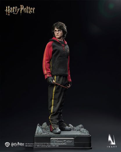 Preventa Figura HARRY POTTER - Harry Potter and the Goblet of Fire marca INART A046 Queen Studio escala 1/6