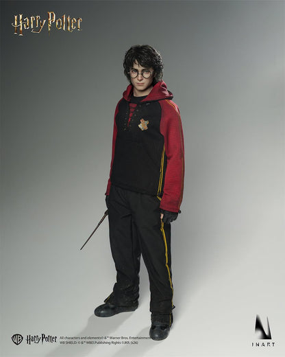 Preventa Figura HARRY POTTER - Harry Potter and the Goblet of Fire marca INART A046 Queen Studio escala 1/6