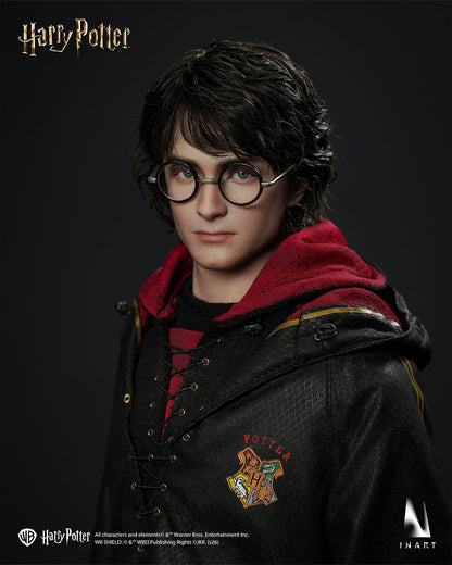Preventa Figura HARRY POTTER - Harry Potter and the Goblet of Fire marca INART A046 Queen Studio escala 1/6