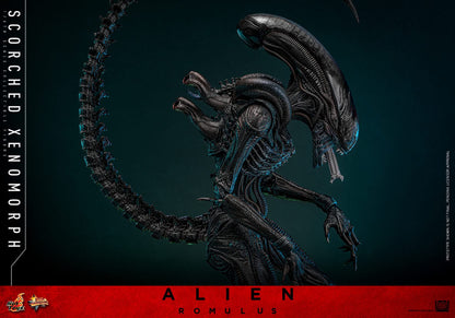 Preventa Figura Scorched Xenomorph - Alien: Romulus marca Hot Toys MMS784 escala 1/6