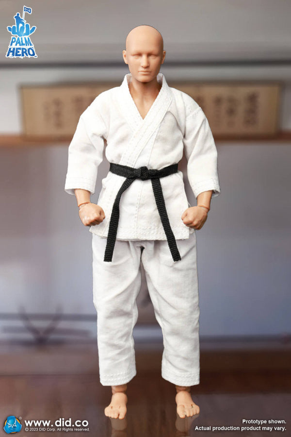 Pedido Figura The Karate Player - Simple Fun Series marca DID SF80001 escala pequeña 1/12