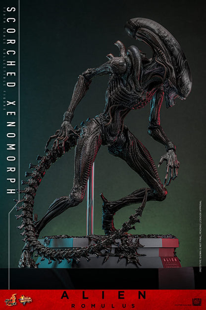 Preventa Figura Scorched Xenomorph - Alien: Romulus marca Hot Toys MMS784 escala 1/6