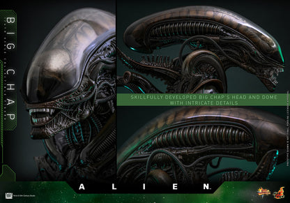 Preventa Figura Big Chap - Alien marca Hot Toys MMS826 escala 1/6