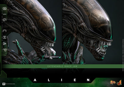 Preventa Figura Big Chap - Alien marca Hot Toys MMS826 escala 1/6