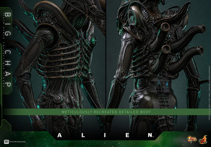 Preventa Figura Big Chap - Alien marca Hot Toys MMS826 escala 1/6