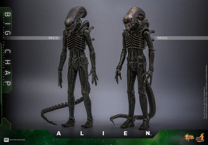 Preventa Figura Big Chap - Alien marca Hot Toys MMS826 escala 1/6