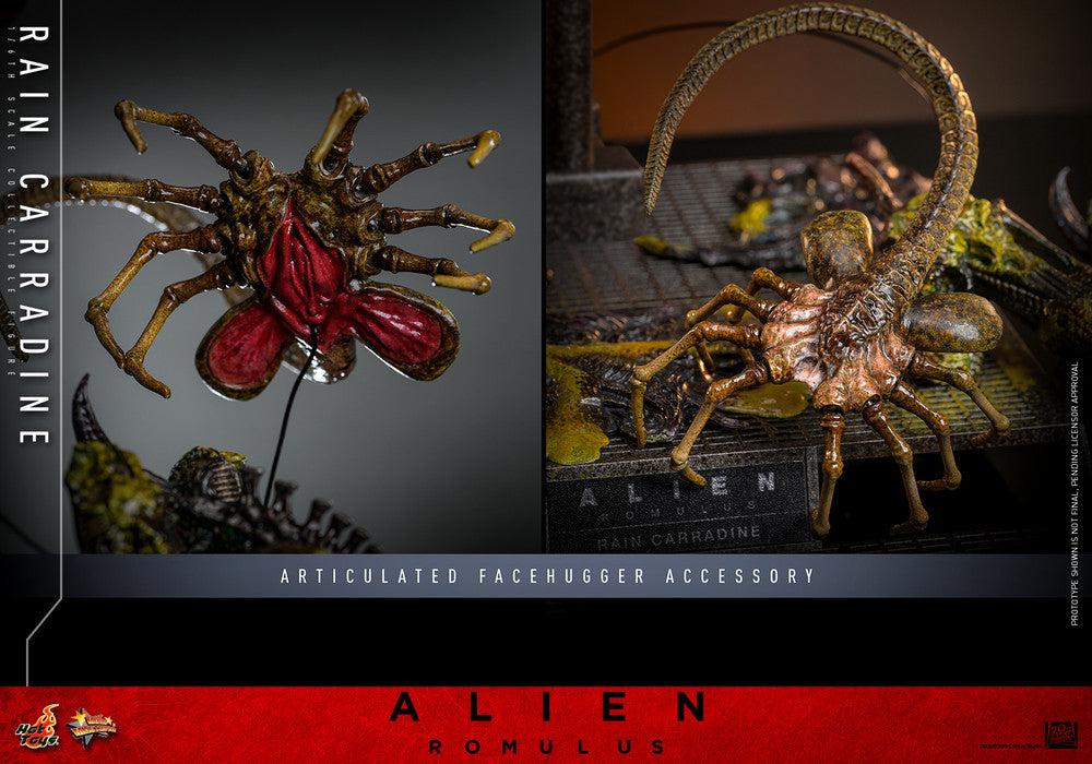 Preventa Figura Rain Carradine - Alien: Romulus marca Hot Toys MMS793 escala 1/6