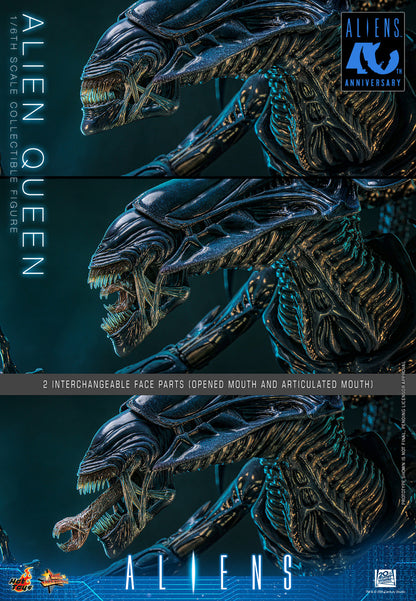 Preventa Figura Alien Queen - Aliens marca Hot Toys MMS903 escala 1/6