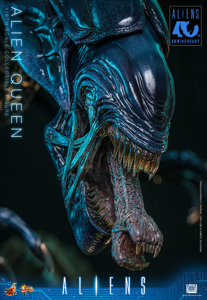 Preventa Figura Alien Queen - Aliens marca Hot Toys MMS903 escala 1/6