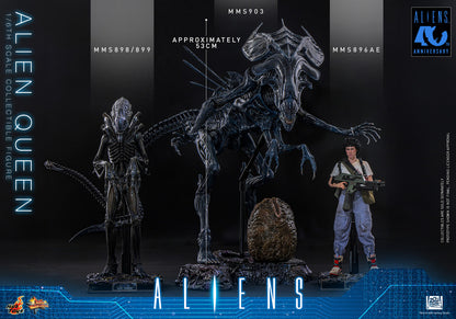Preventa Figura Alien Queen - Aliens marca Hot Toys MMS903 escala 1/6