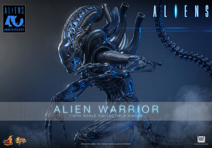 Preventa Figura Alien Warrior - Aliens marca Hot Toys MMS898 escala 1/6