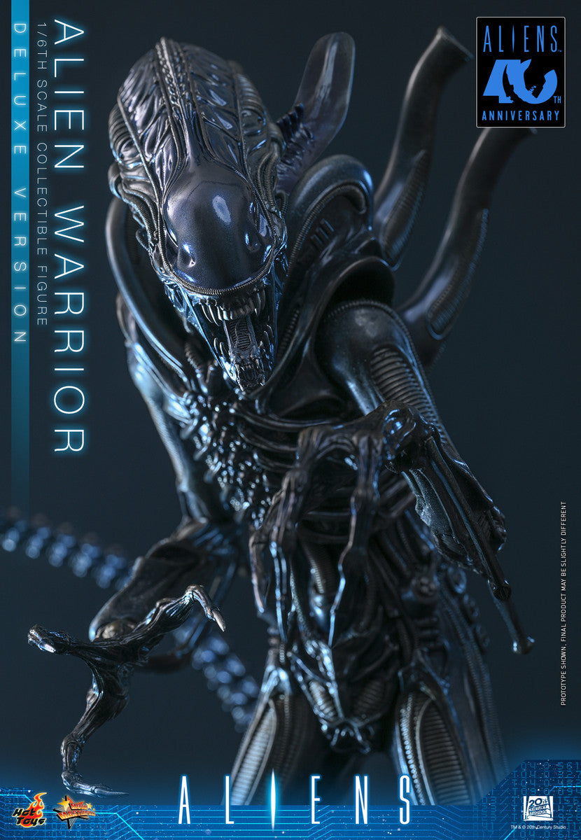 Preventa Figura Alien Warrior (Deluxe Version) - Aliens marca Hot Toys MMS899 escala 1/6