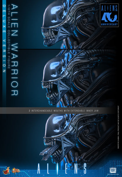 Preventa Figura Alien Warrior (Deluxe Version) - Aliens marca Hot Toys MMS899 escala 1/6