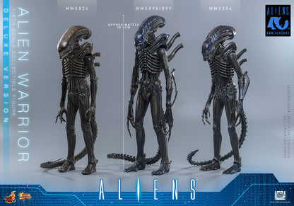 Preventa Figura Alien Warrior (Deluxe Version) - Aliens marca Hot Toys MMS899 escala 1/6