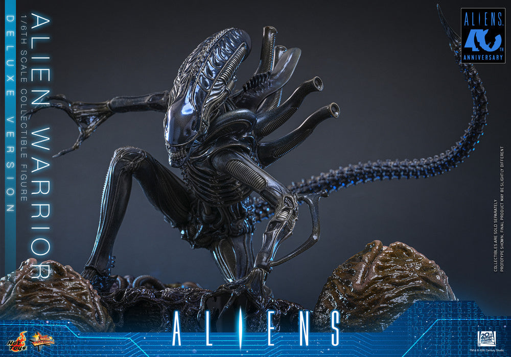 Preventa Figura Alien Warrior (Deluxe Version) - Aliens marca Hot Toys MMS899 escala 1/6