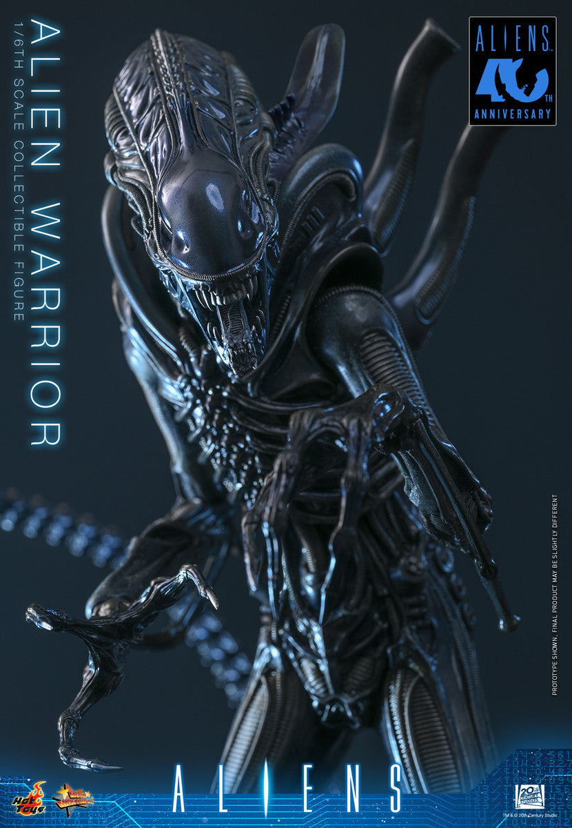 Preventa Figura Alien Warrior - Aliens marca Hot Toys MMS898 escala 1/6