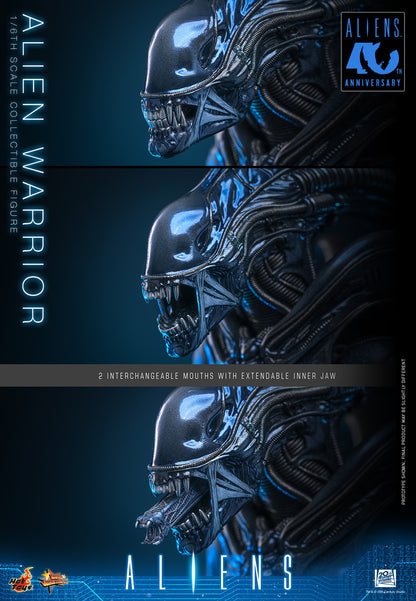 Preventa Figura Alien Warrior - Aliens marca Hot Toys MMS898 escala 1/6