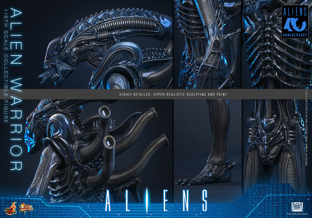 Preventa Figura Alien Warrior - Aliens marca Hot Toys MMS898 escala 1/6