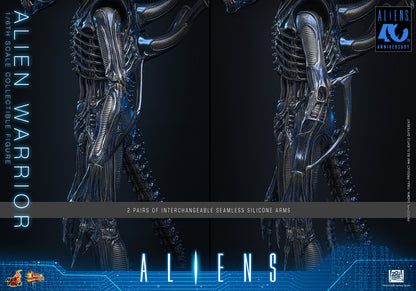 Preventa Figura Alien Warrior - Aliens marca Hot Toys MMS898 escala 1/6