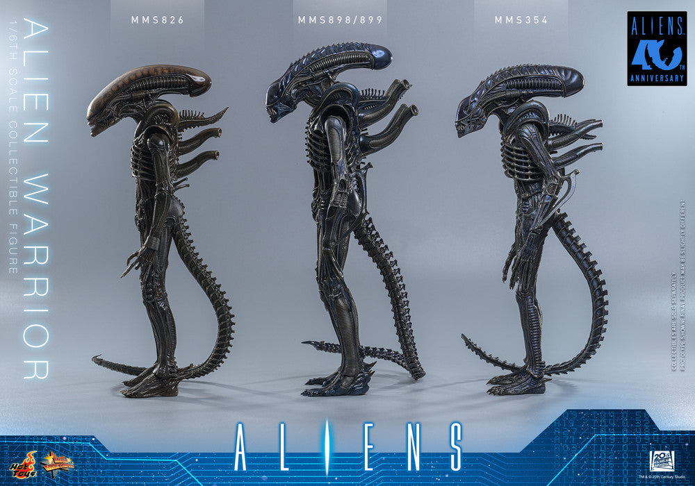 Preventa Figura Alien Warrior - Aliens marca Hot Toys MMS898 escala 1/6