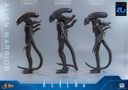 Preventa Figura Alien Warrior - Aliens marca Hot Toys MMS898 escala 1/6