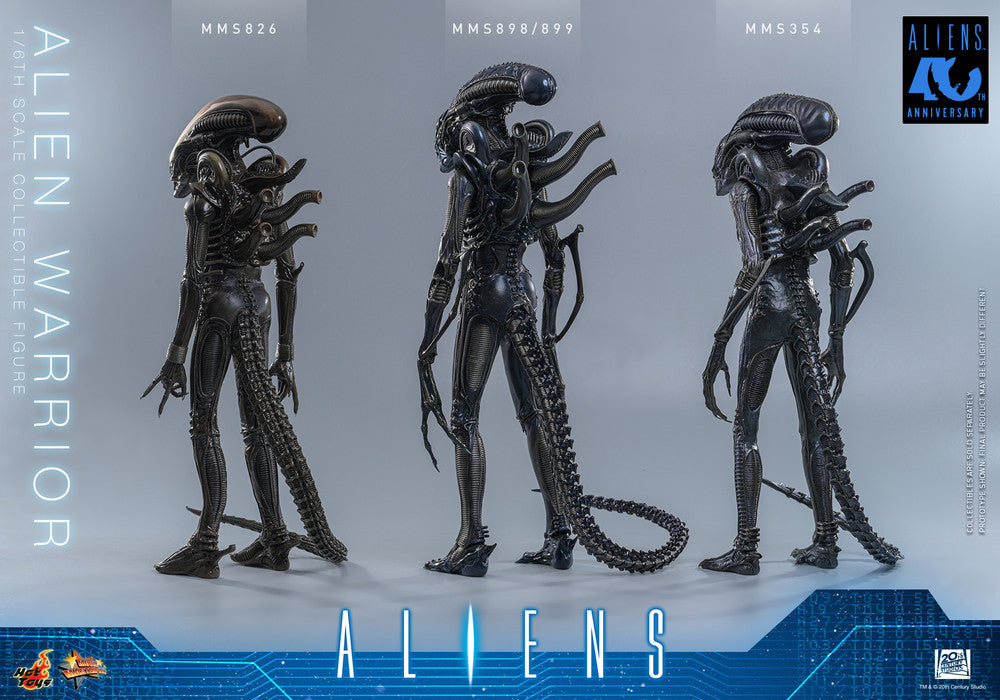 Preventa Figura Alien Warrior - Aliens marca Hot Toys MMS898 escala 1/6
