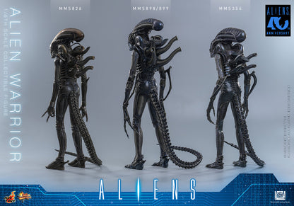 Preventa Figura Alien Warrior - Aliens marca Hot Toys MMS898 escala 1/6