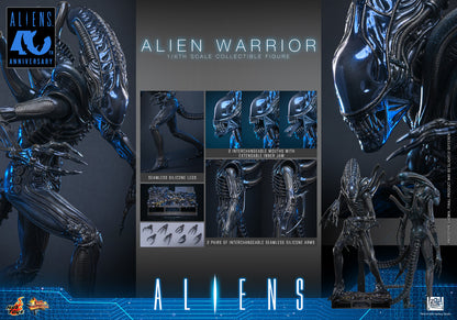 Preventa Figura Alien Warrior - Aliens marca Hot Toys MMS898 escala 1/6