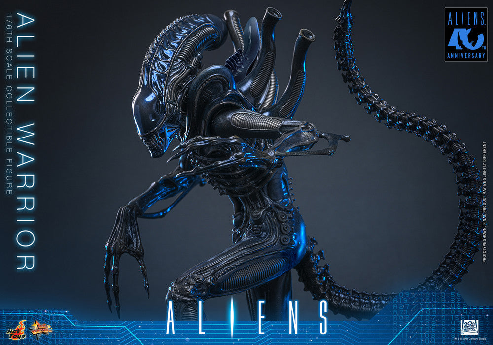 Preventa Figura Alien Warrior - Aliens marca Hot Toys MMS898 escala 1/6