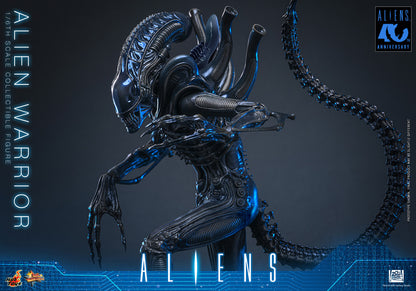 Preventa Figura Alien Warrior - Aliens marca Hot Toys MMS898 escala 1/6