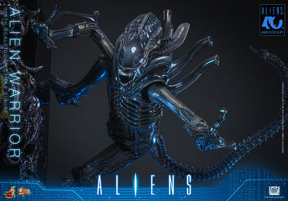 Preventa Figura Alien Warrior - Aliens marca Hot Toys MMS898 escala 1/6