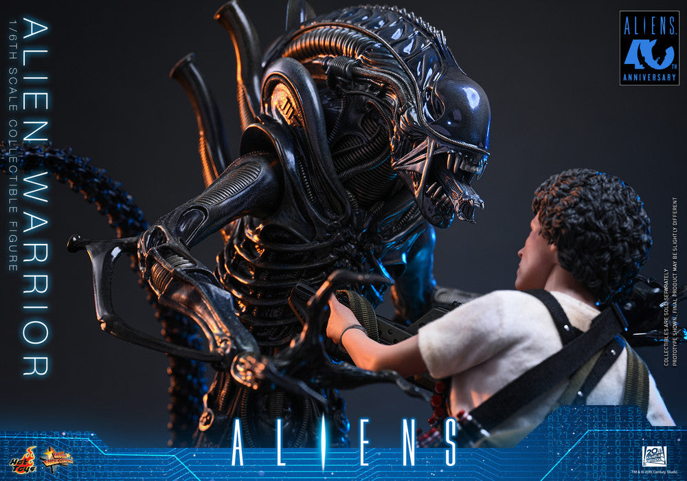 Preventa Figura Alien Warrior - Aliens marca Hot Toys MMS898 escala 1/6