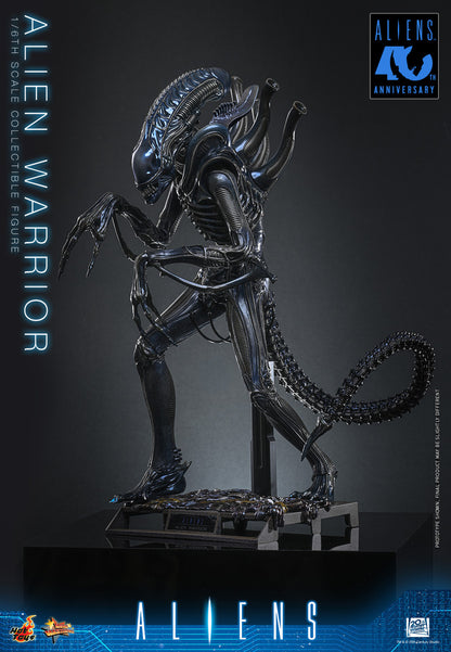 Preventa Figura Alien Warrior - Aliens marca Hot Toys MMS898 escala 1/6