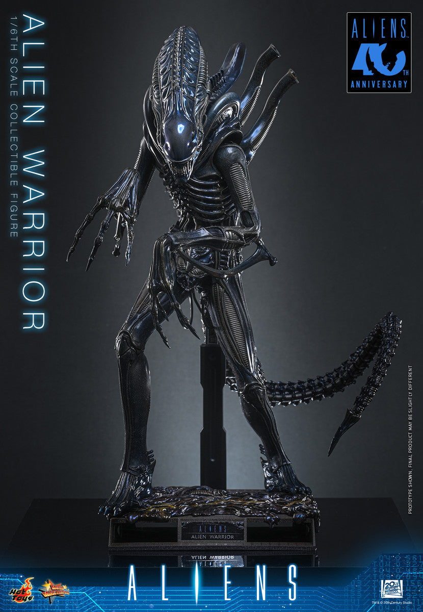 Preventa Figura Alien Warrior - Aliens marca Hot Toys MMS898 escala 1/6