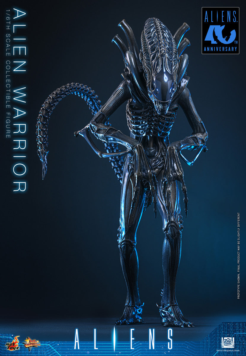 Preventa Figura Alien Warrior - Aliens marca Hot Toys MMS898 escala 1/6