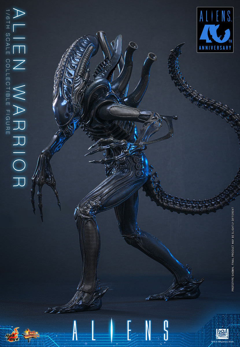 Preventa Figura Alien Warrior - Aliens marca Hot Toys MMS898 escala 1/6
