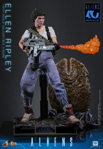 Preventa Figura Ellen Ripley - Aliens marca Hot Toys MMS894 escala 1/6