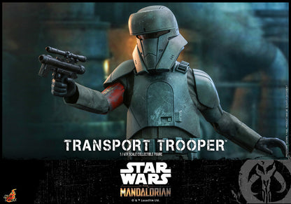 Pedido Figura Transport Trooper - Star Wars: The Mandalorian ™ marca Hot Toys TMS030 escala 1/6
