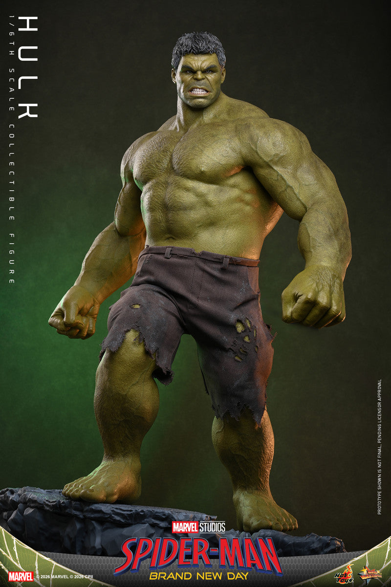 Preventa Figura HULK - Spider-Man: Brand New Day marca Hot Toys MMS905 escala 1/6