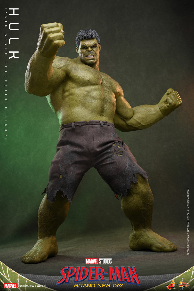 Preventa Figura HULK - Spider-Man: Brand New Day marca Hot Toys MMS905 escala 1/6
