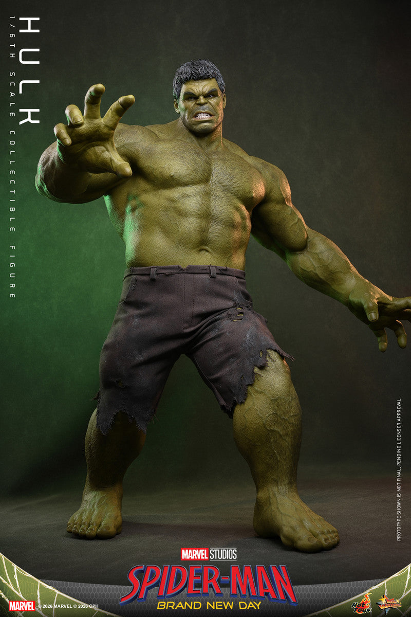 Preventa Figura HULK - Spider-Man: Brand New Day marca Hot Toys MMS905 escala 1/6