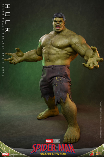 Preventa Figura HULK - Spider-Man: Brand New Day marca Hot Toys MMS905 escala 1/6